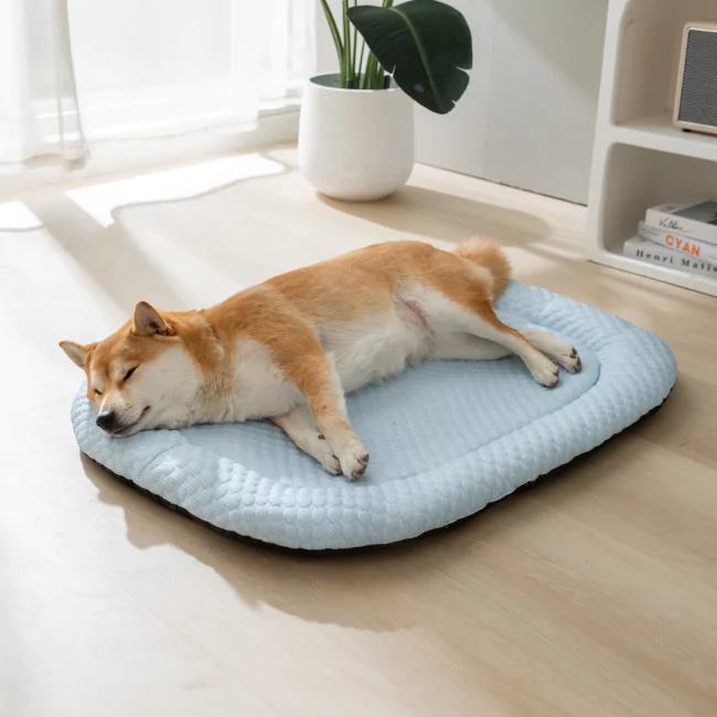 3 Pack CoolingBed + 4 Free Gifts - Image 3