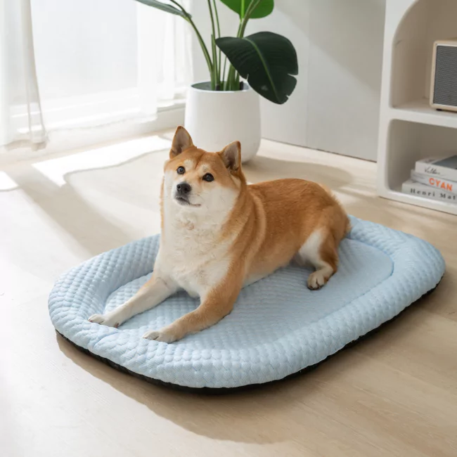 Buy 3 CoolingBed Get 3 Free With Free Gifts - Image 2